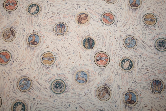 'Orion' Liberty Silke