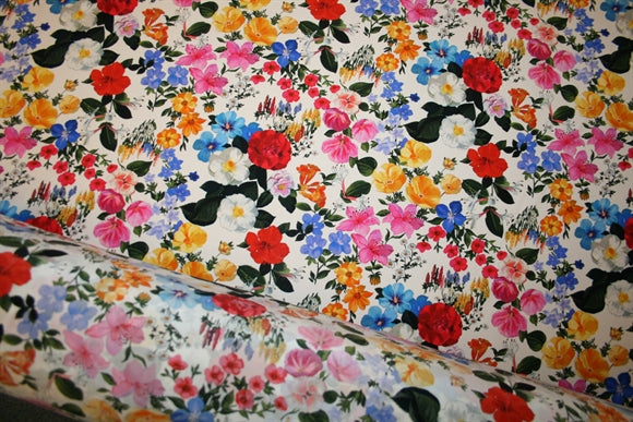 'Rugiada Rosa' Silke